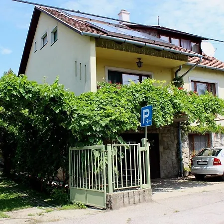 Erika Vendeghaz * Szentendre